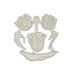 Katy Sue Moulds – Tulips Silicone Embossers